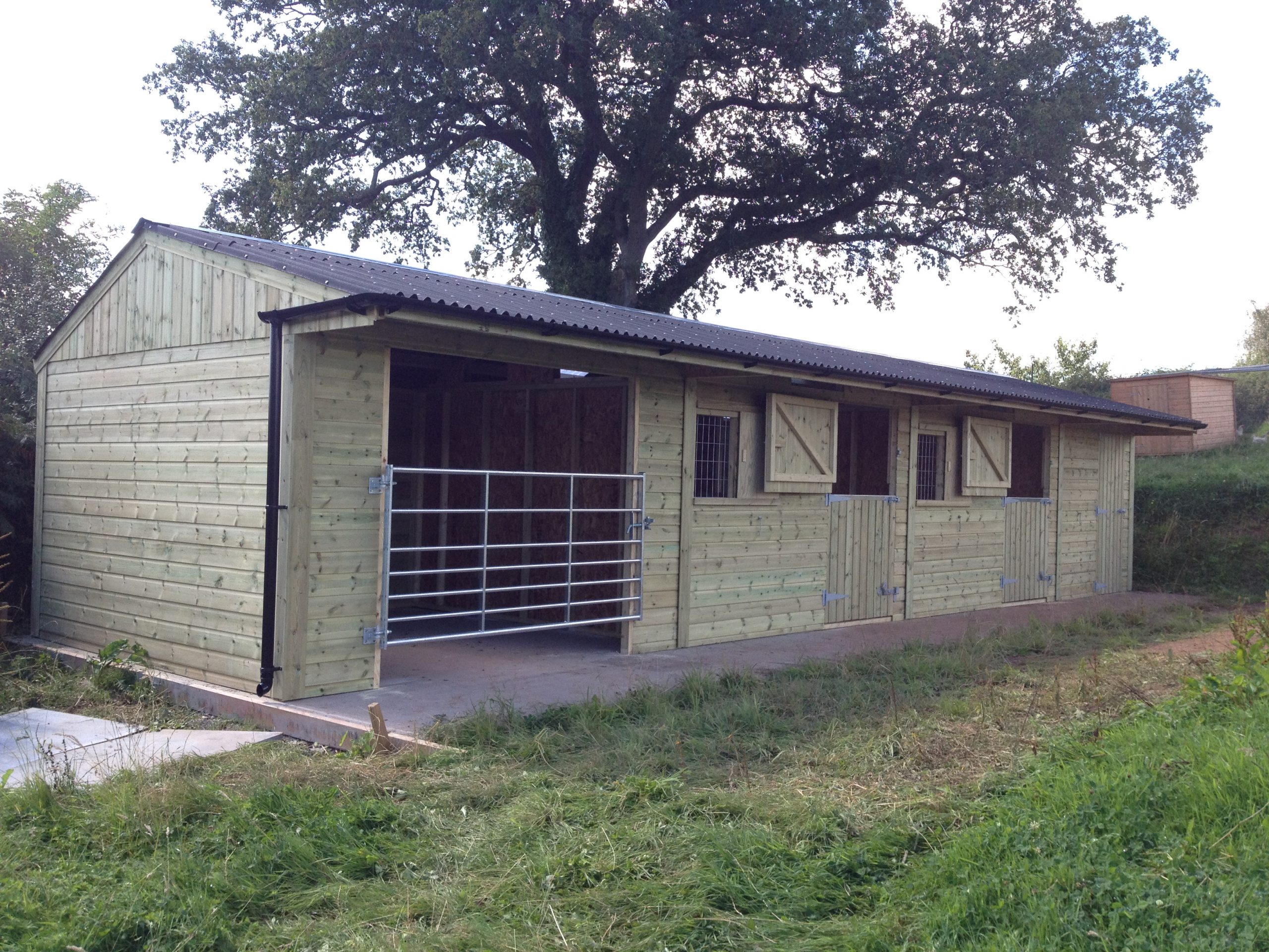 Two Stables With Tack Room & Gated Loose Box
