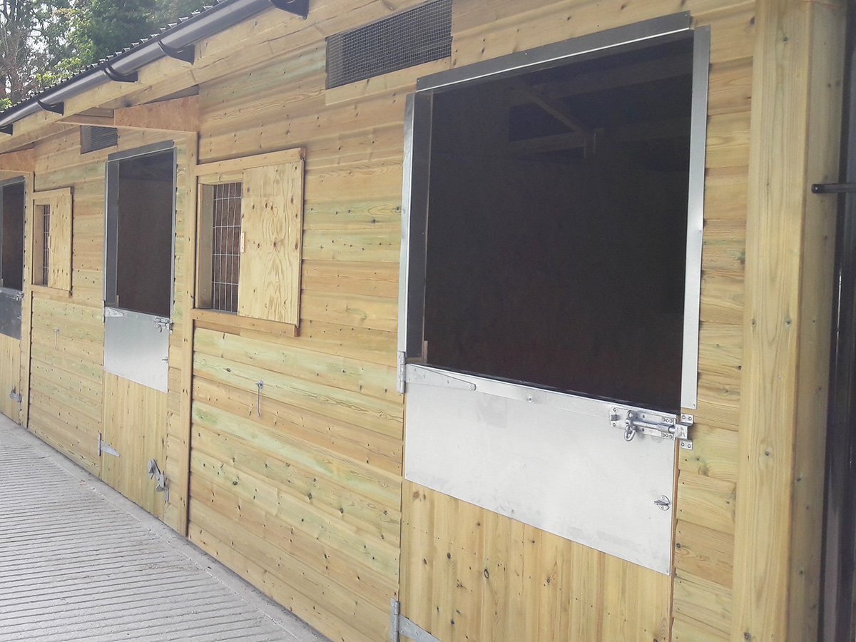 elongated chew-strip and door frame protection