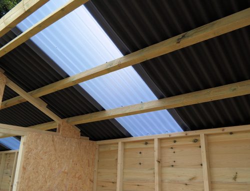 Translucent Roof Light